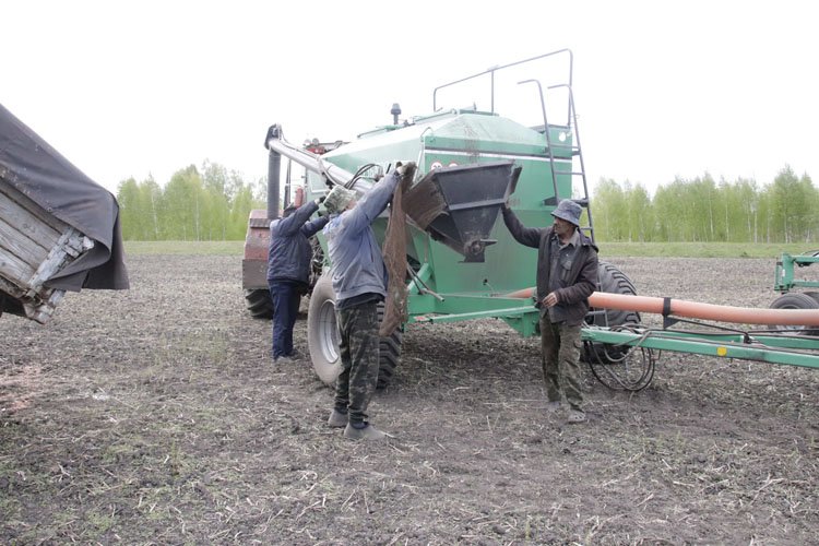 Что весной посеешь, то осенью и пожнёшь!